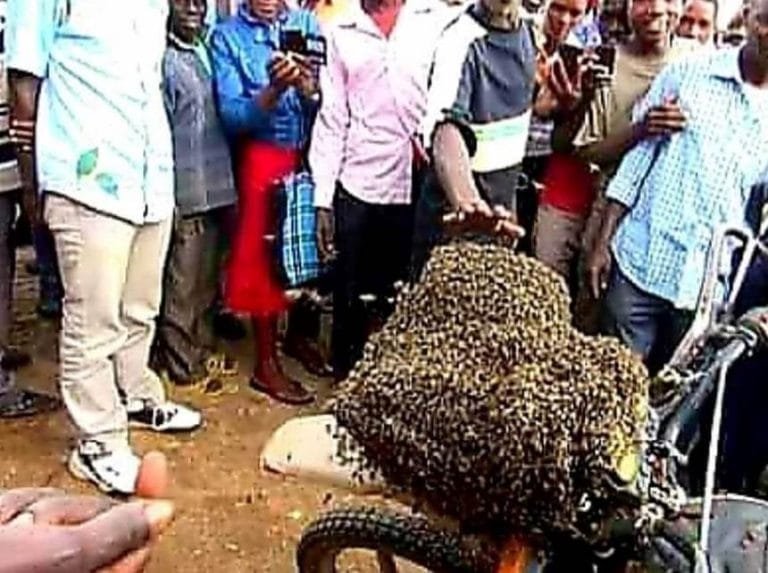 Spellbound Chronicles 4 312045849 604901238093409 6256457037738506379 n