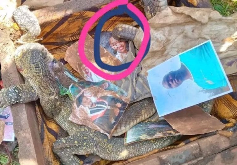 Spellbound Chronicles 5 Screenshot 2024 09 04 08 45 16 18 0b2fce7a16bf2b728d6ffa28c8d60efb