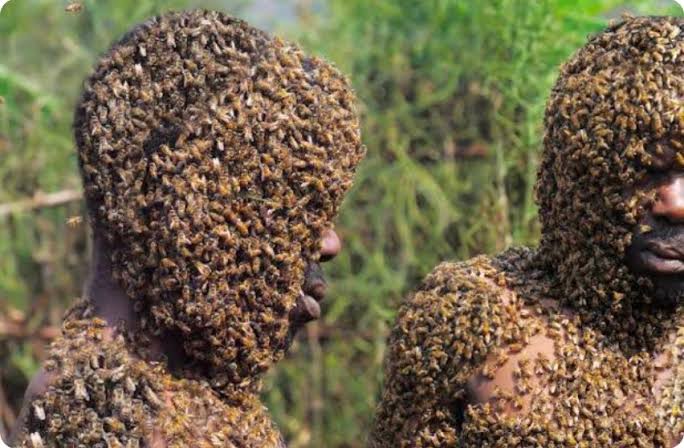 “Let Him Suffer, He Promised Us Many Things But After Winning Elections, He Ignored Us” Angry Ugandan Voters React After Bees Attacking An Opposition MP