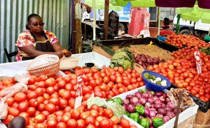 Spellbound Chronicles 14