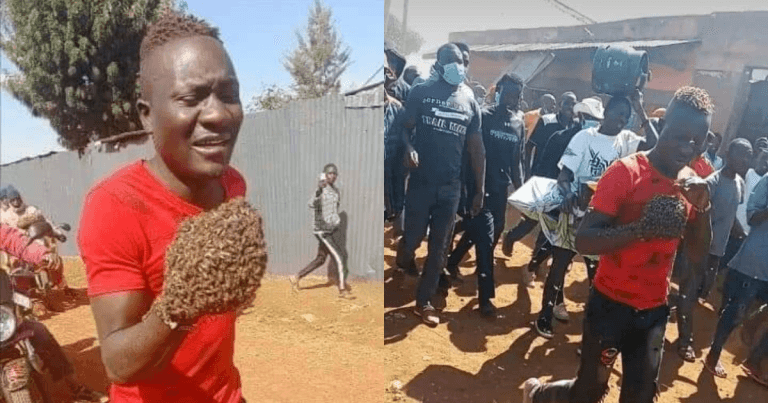 Spellbound Chronicles 14 BeFunky collage 20