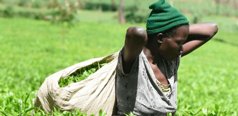 Spellbound Chronicles 10 Screenshot 2025 04 25 091202