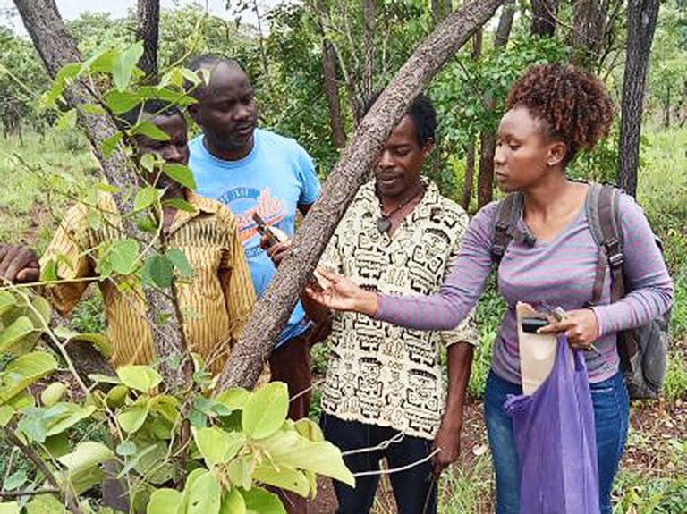 Spellbound Chronicles 15 TITLE IMAGE scaled 430x640 2