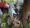 images 12