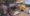 images 13