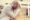 images 26