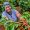 Young African woman collecting coffee berries from a coffee plant, Kenya, Africa.