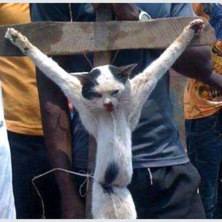 FB_IMG_16504423523367860