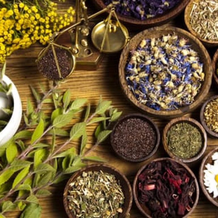 Importance-of-herbs-in-daily-life-624x312