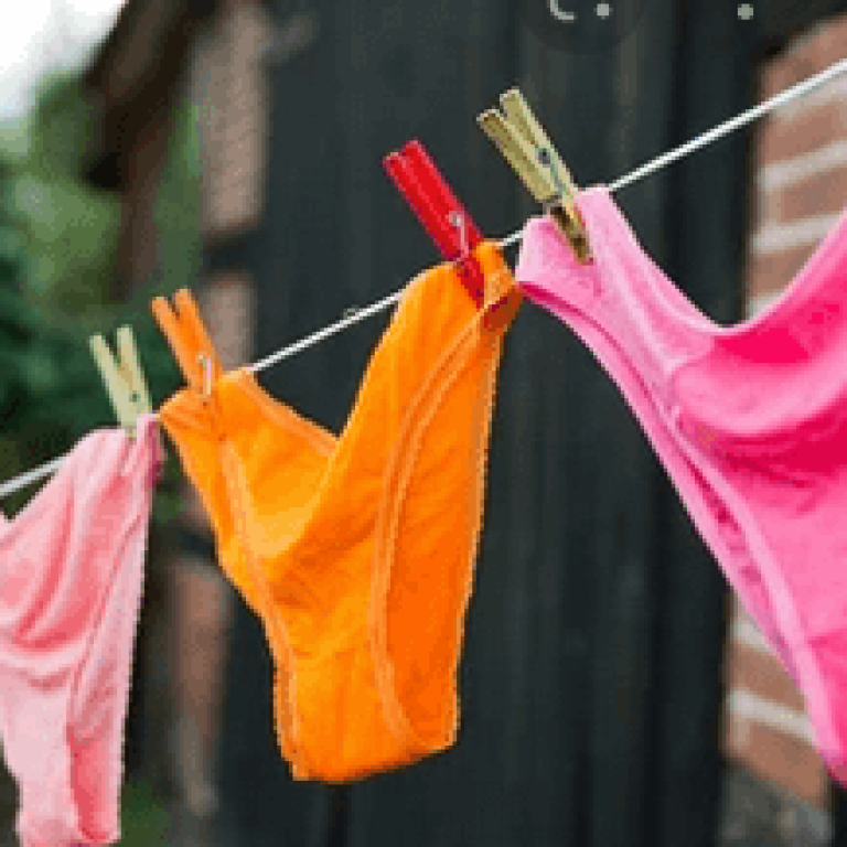 Screenshot 2022-05-29 at 11-29-31 panties hanged - Google Search