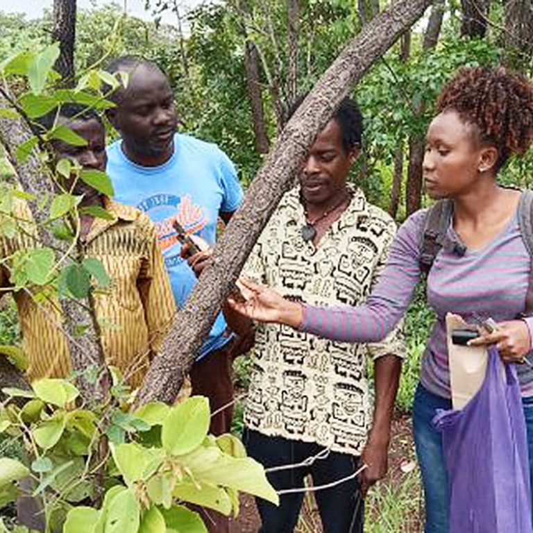 TITLE-IMAGE-scaled-430x640-2