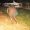 WOMAN naked