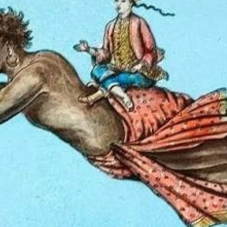 Waite_Haraka-1170x531_c