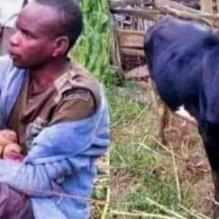 ba971d4852b6a832-1170x531_c