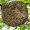 images-117