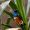 images-119