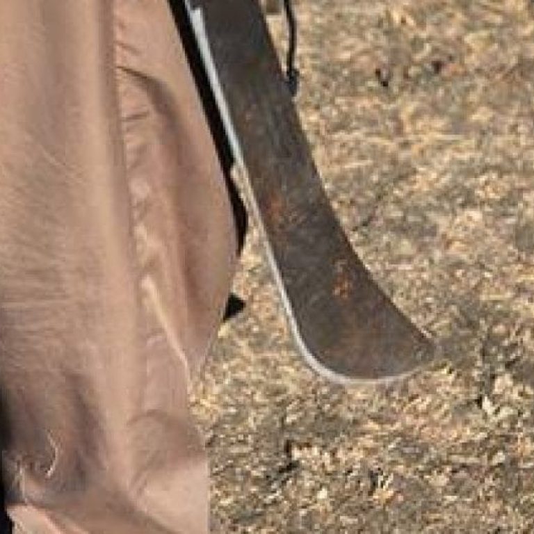 images-2-10-1170x531_c