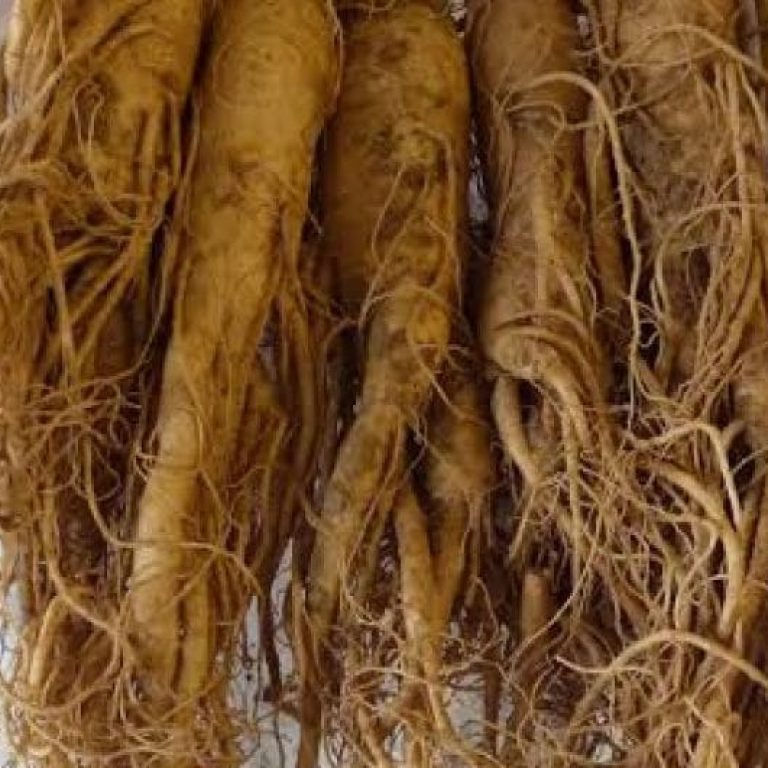 images-4-9-1170x531_c