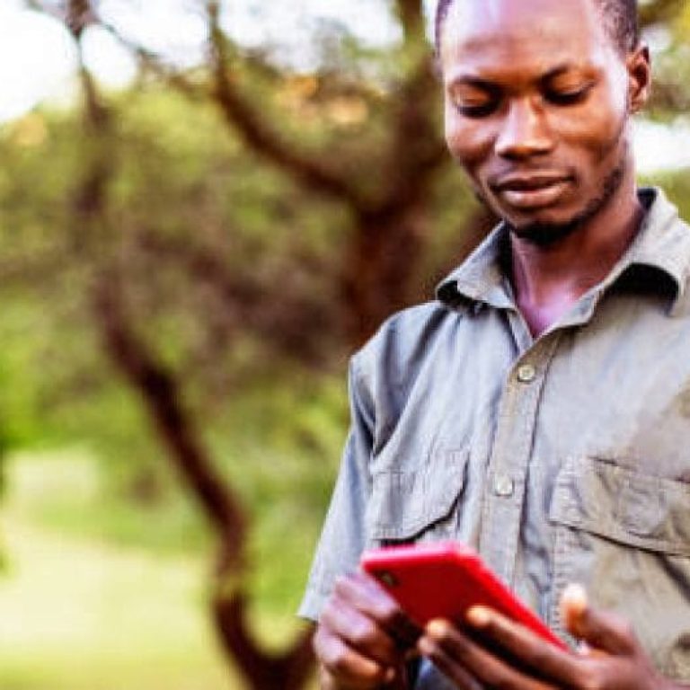 images-6-4-1170x531_c