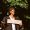 images-77
